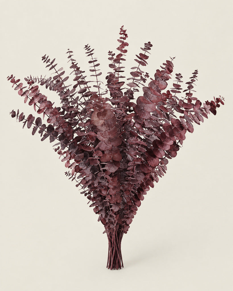 20 Pcs Red Preserved Eucalyptus Stems - 17 in