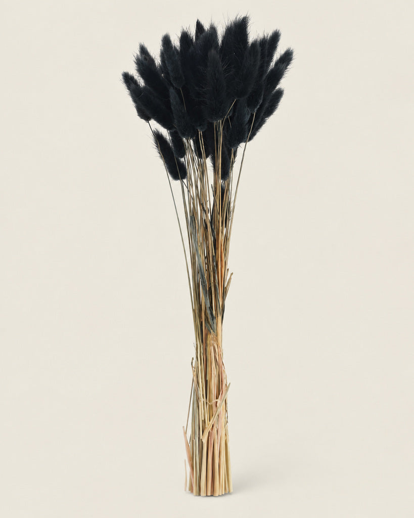 Black Dried Pampas Grass - 16 in
