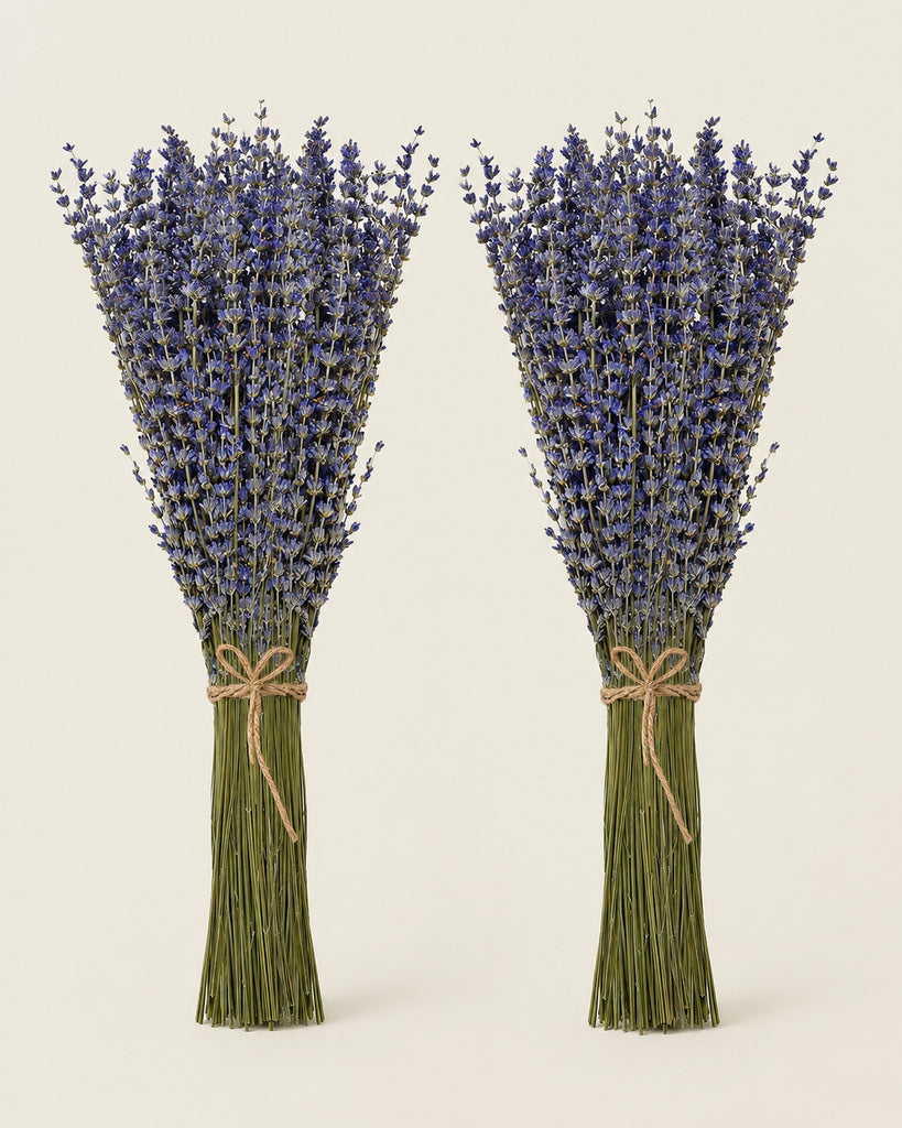 2 Pack Natural Purple Dried Lavender Flowers - 15–17 in