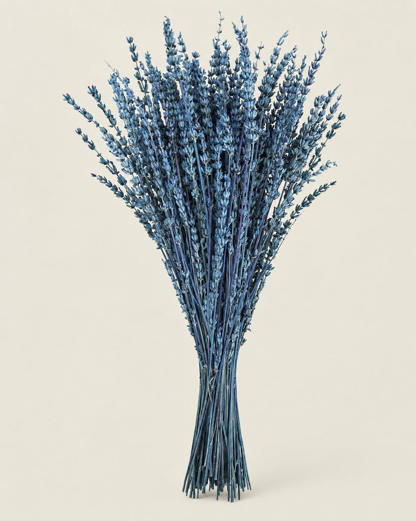Blue Dried Lavender Bouquet - 16 in