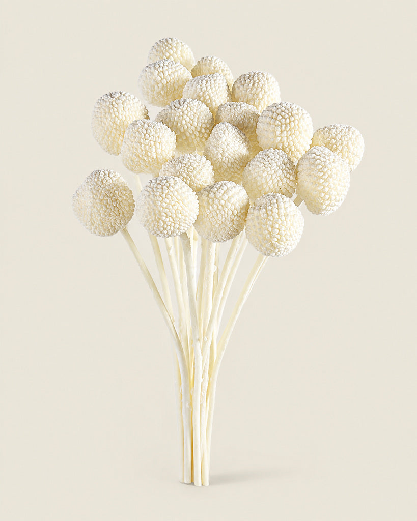 Natural Yellow Dried Billy Button Flowers - 16 in