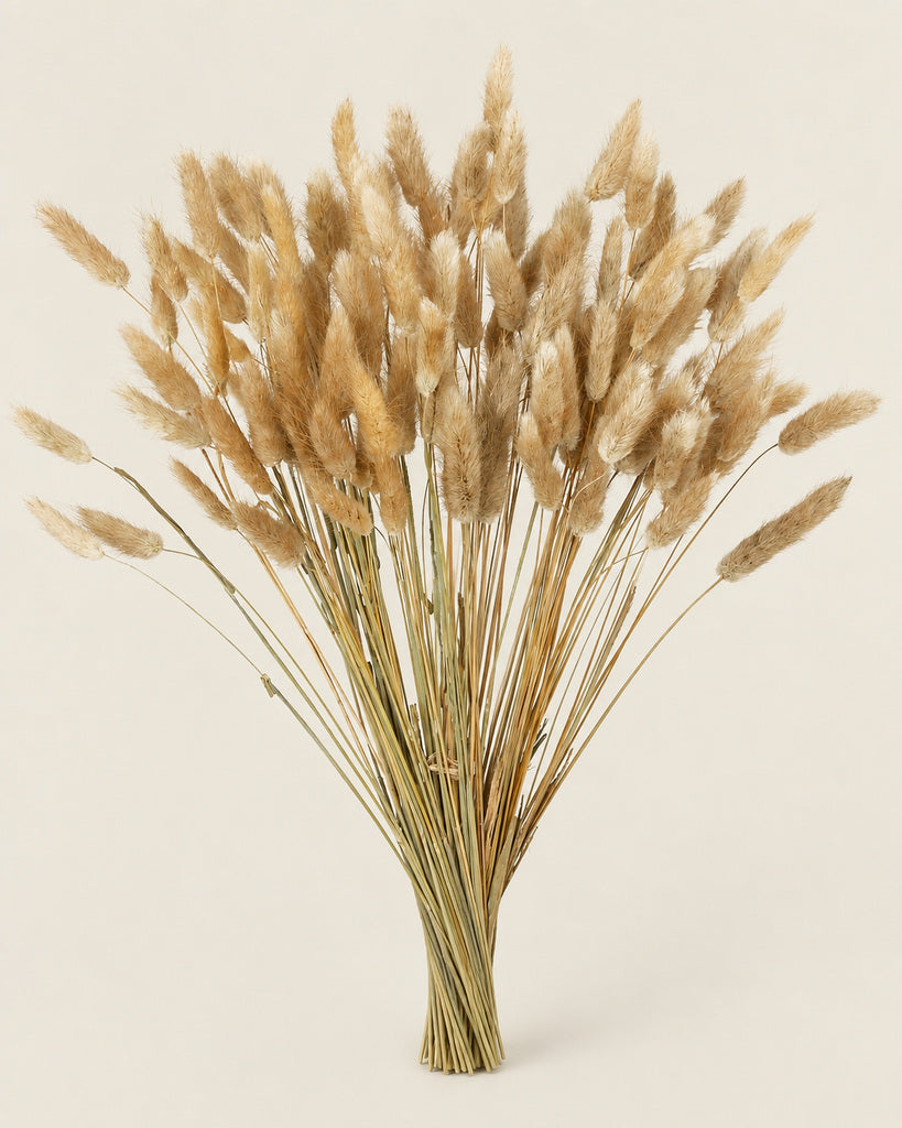 Natural Beige Dried Pampas Grass - 17 in