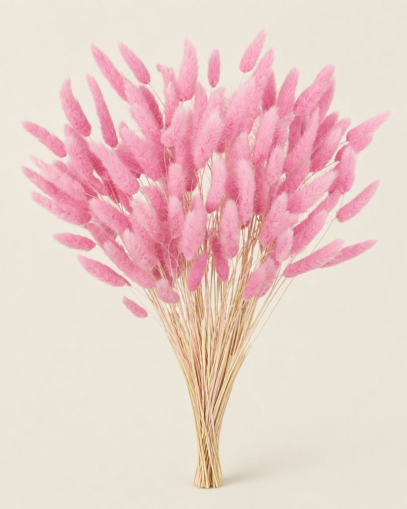 Pink Dried Pampas Grass - 17 in