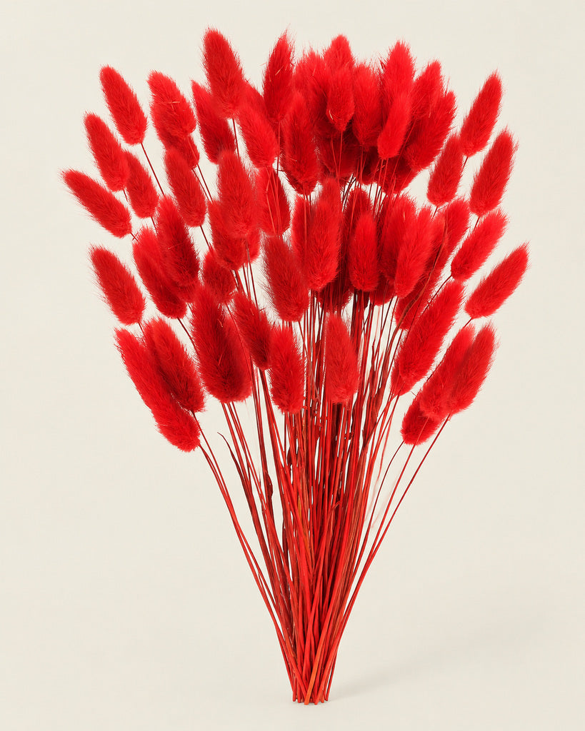 Red Dried Pampas Grass - 17 in