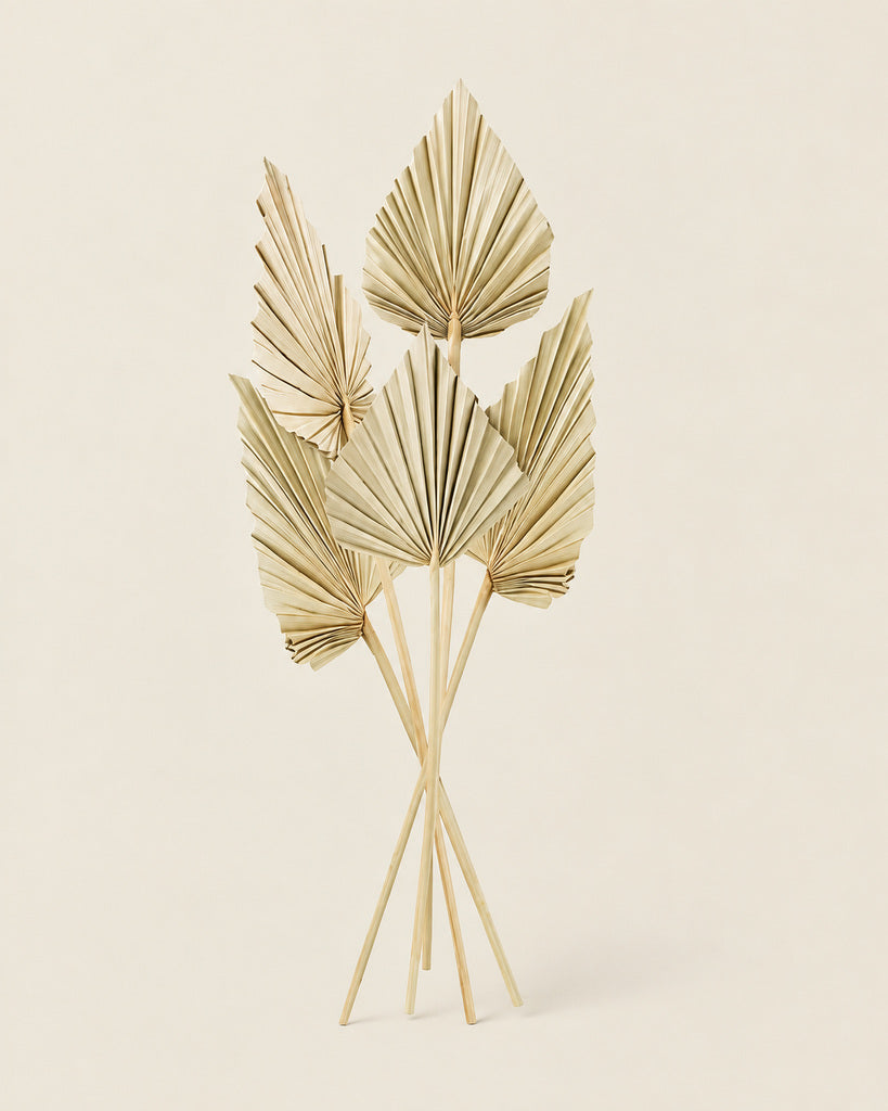 40 Pcs Natural Beige Dried Palm Leaves- 14.5 in