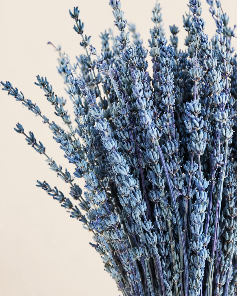 Blue Dried Lavender Bouquet - 16 in