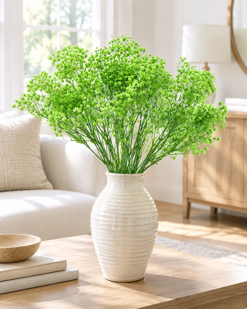 Green Preserved Baby's Breath