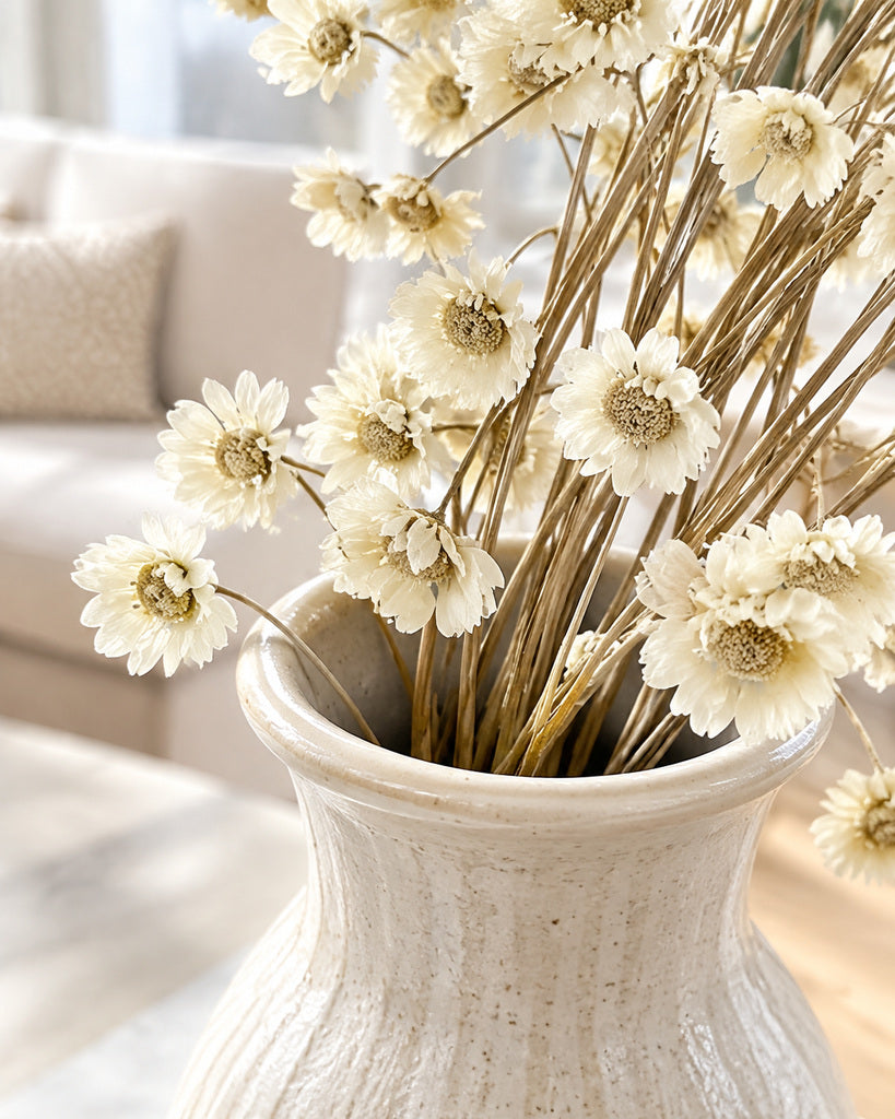 White Dried Star Daisy Flowers 16-18 in