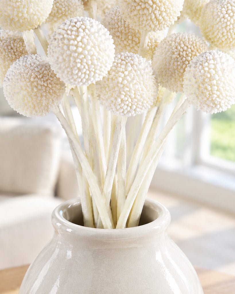 Natural Yellow Dried Billy Button Flowers - 16 in