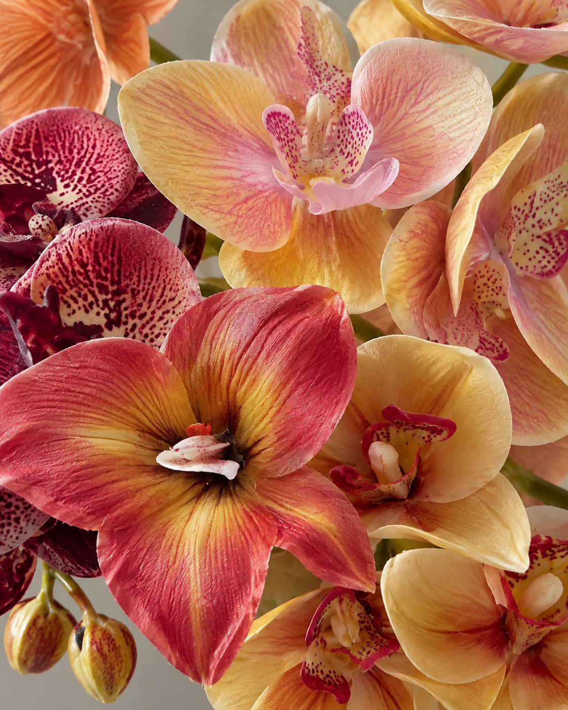 Autumn Sunset Orchid & Amaryllis Faux Floral Arrangement