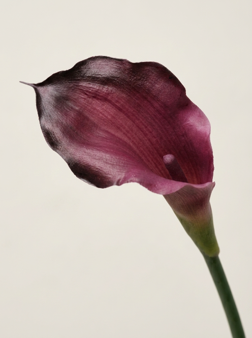 Burgundy Plastic and Soft-Rubber Calla Lily - 55 cm
