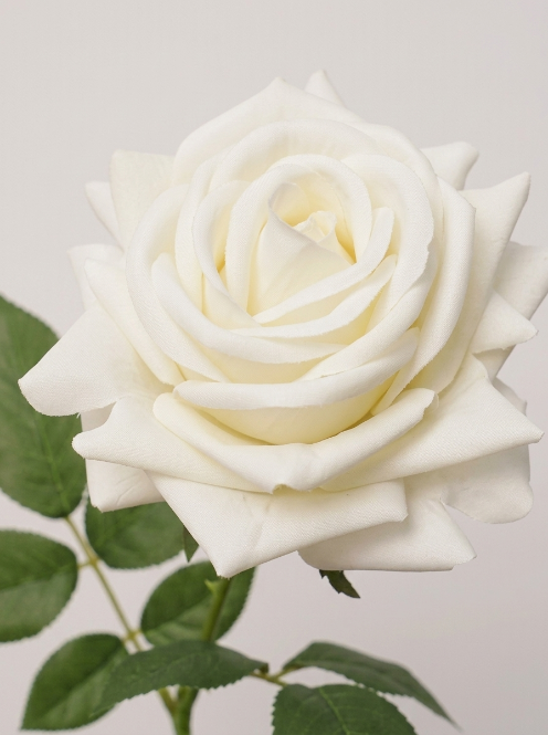 Ivory Silk Cloth Artificial Rose - 66 cm