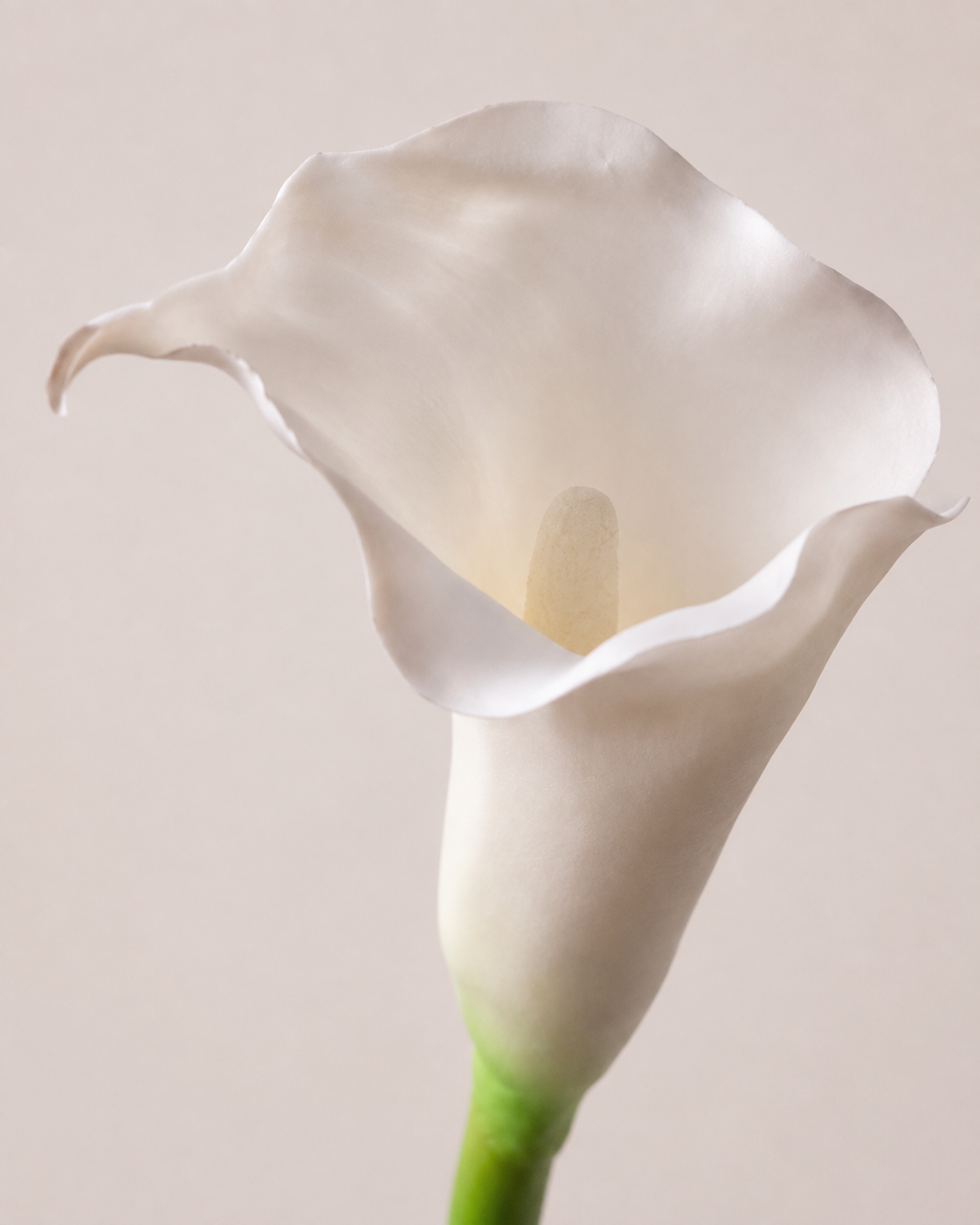 White Artificial Calla Lily Stem - 72 cm