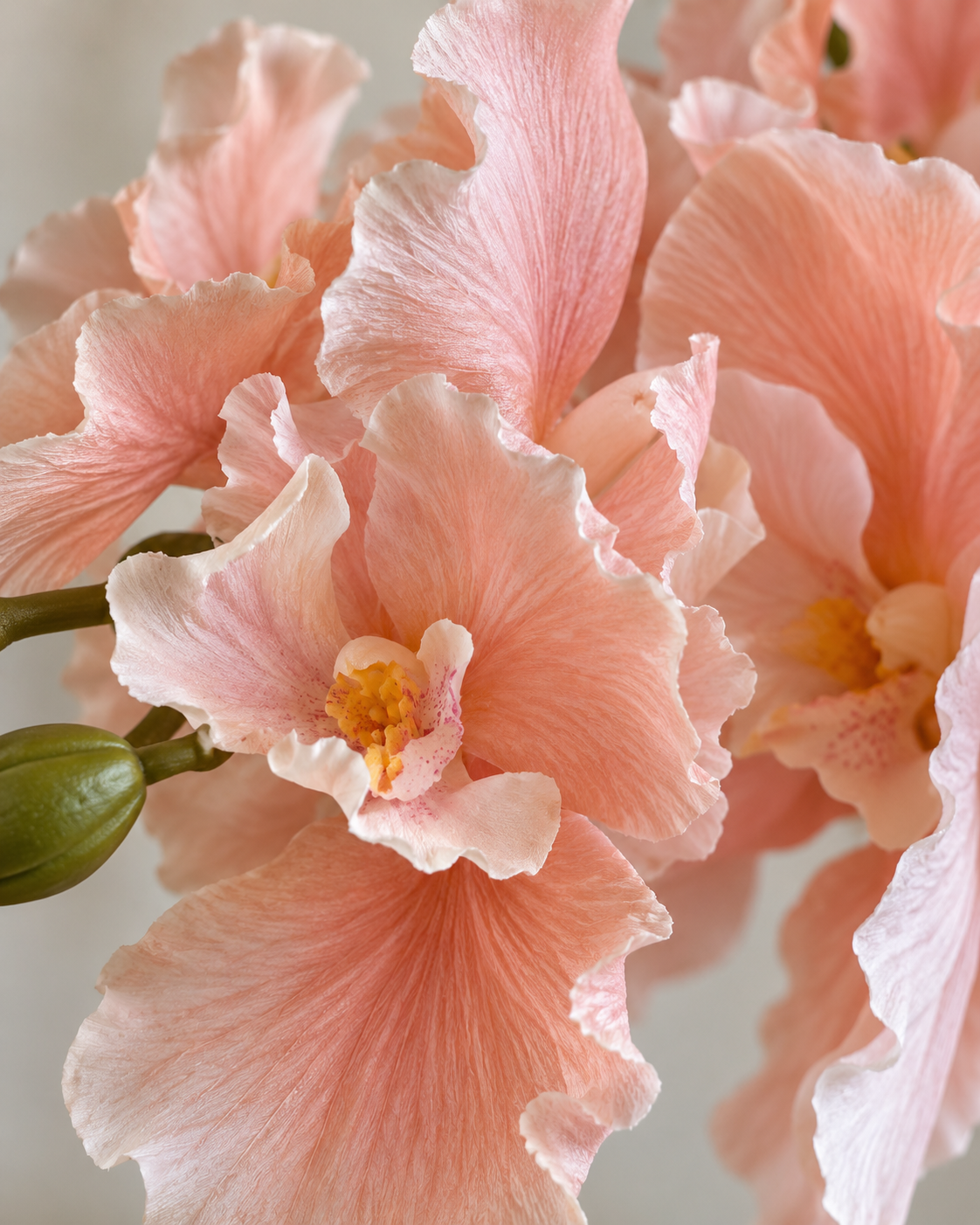 Blush & Ivory Orchid and Tulip Faux Floral Arrangement