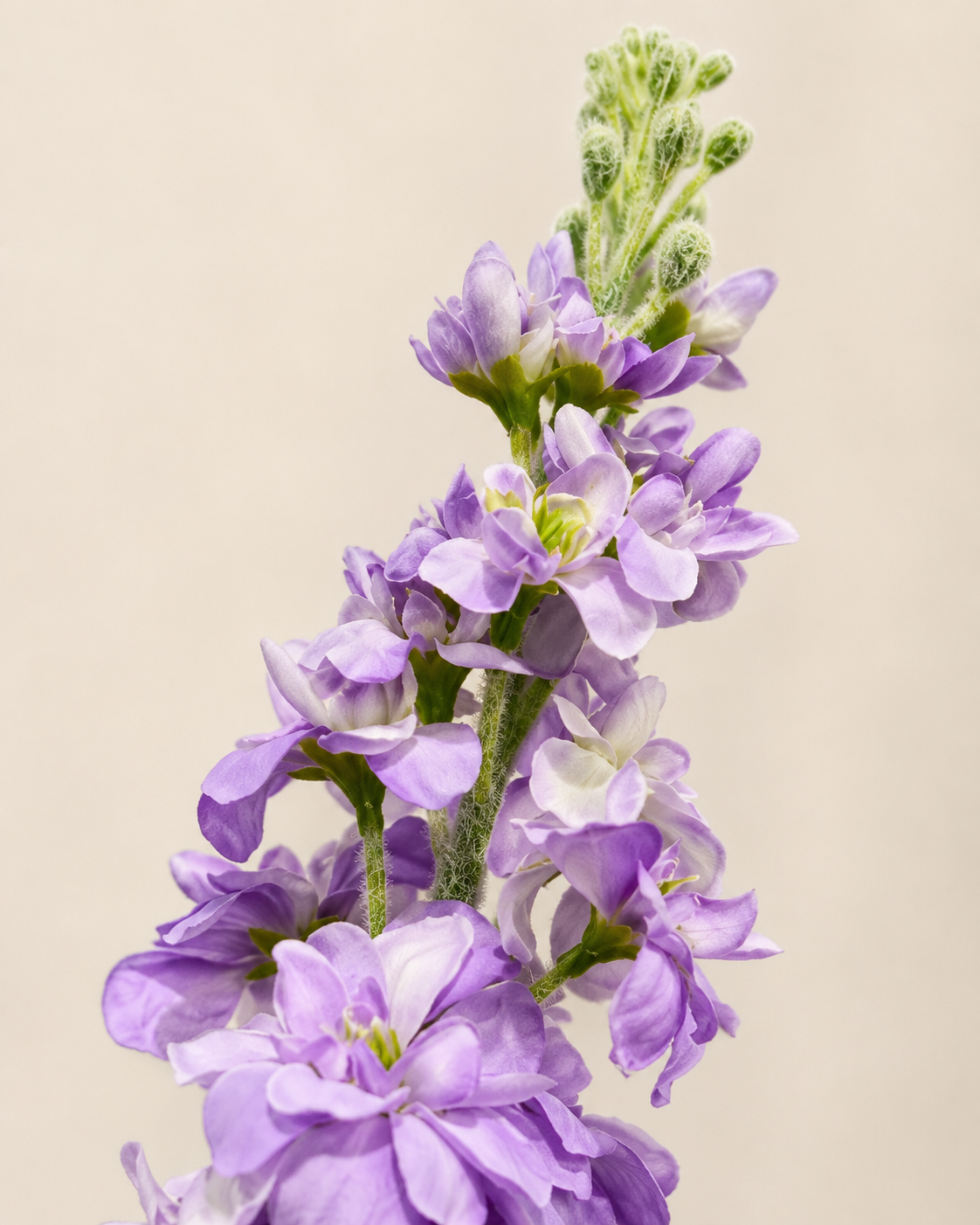 Purple Plastic & Fabric Artificial Stock Flower Spray - 82 cm