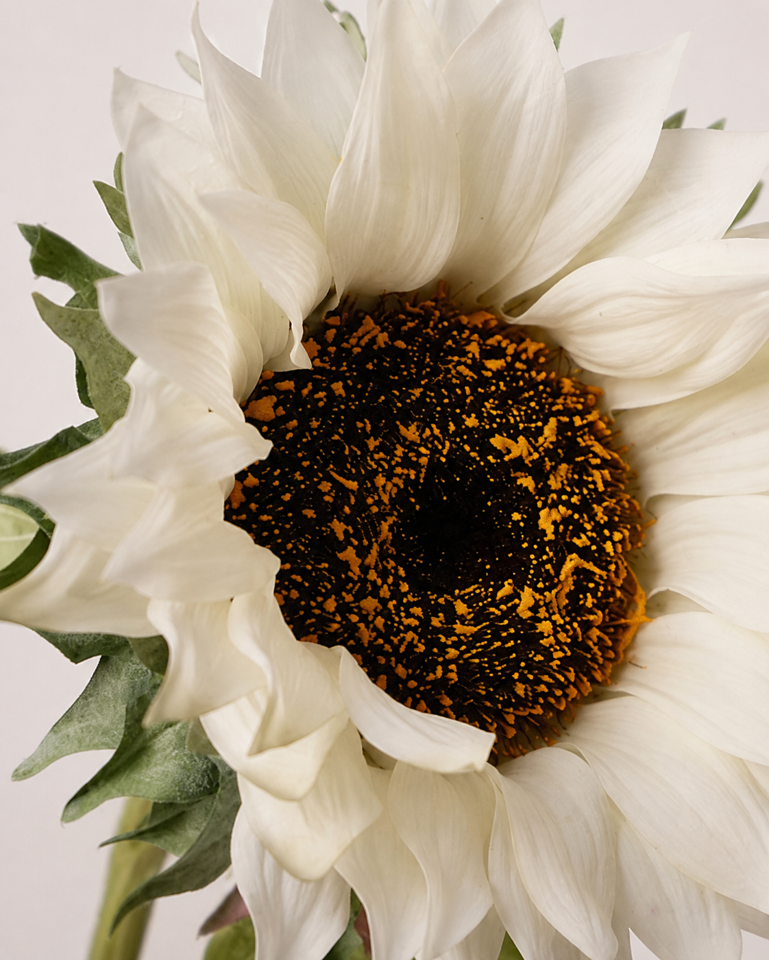 White Plastic & Fabric Artificial Sunflower Stem - 70 cm