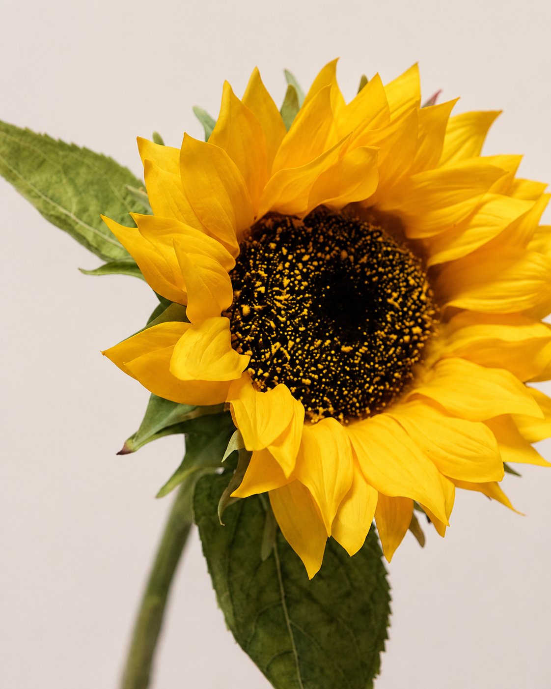 Golden Yellow Plastic & Fabric Artificial Sunflower Stem - 70 cm