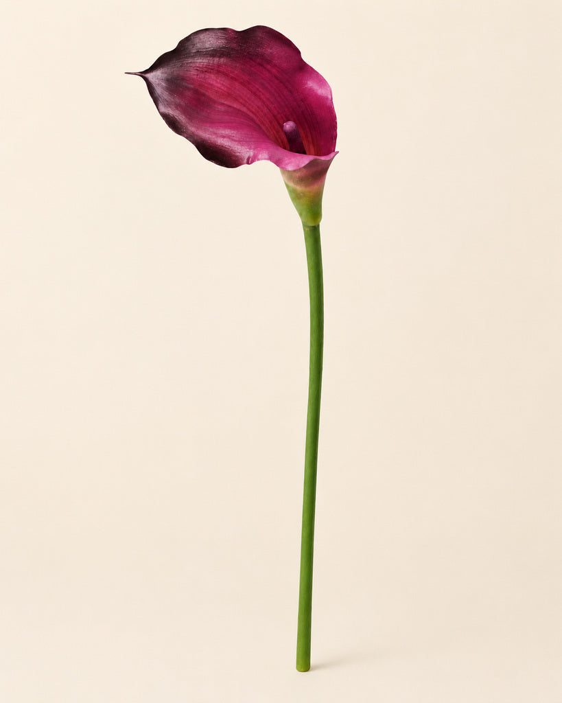 Burgundy Plastic and Soft-Rubber Calla Lily - 55 cm