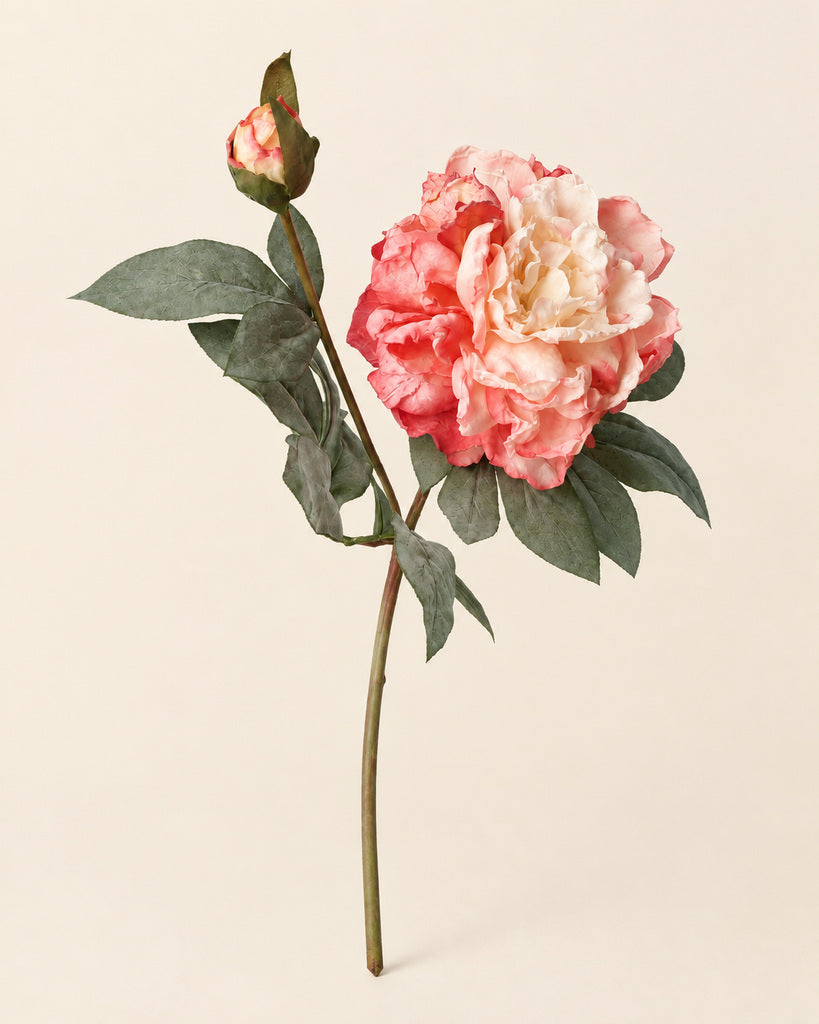 Vintage Peach Pink 2-Head Artificial Peony Stem - 64 cm
