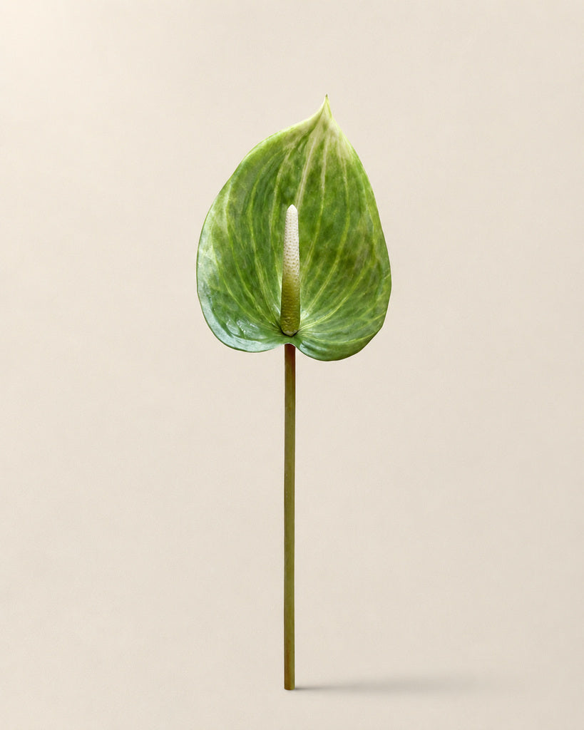 Green Artificial Anthurium Stem - 80 cm