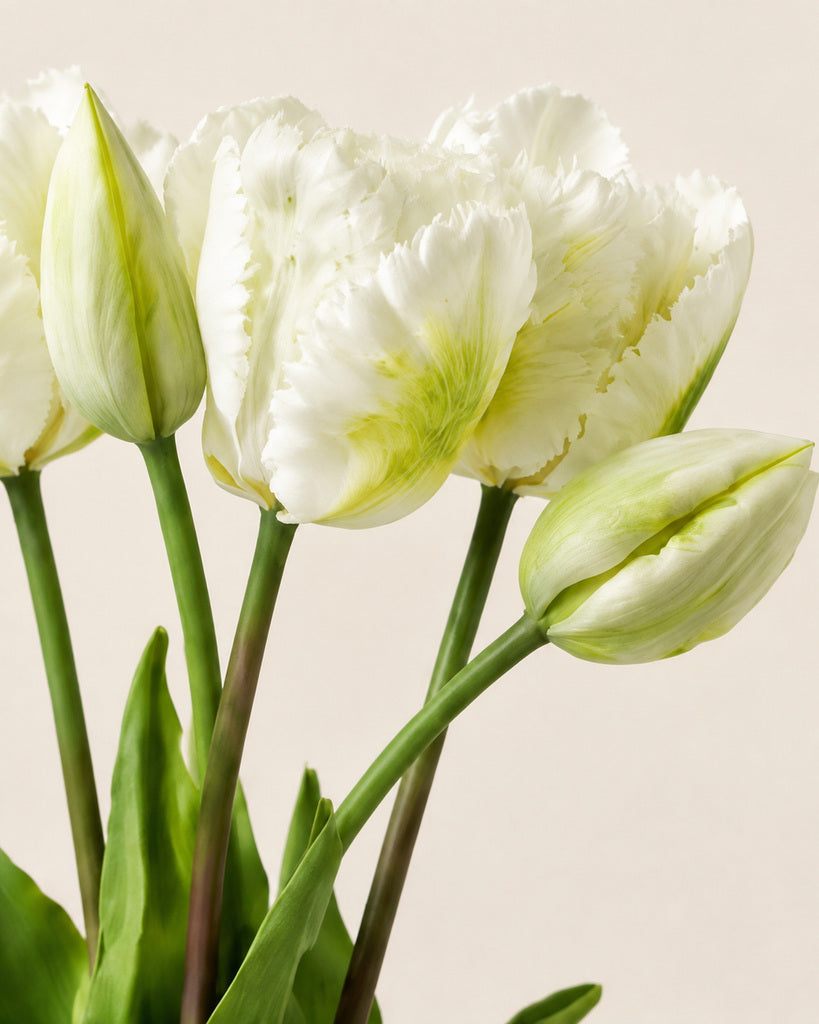 White Soft Rubber Artificial Parrot Tulip Bouquet - 40 cm