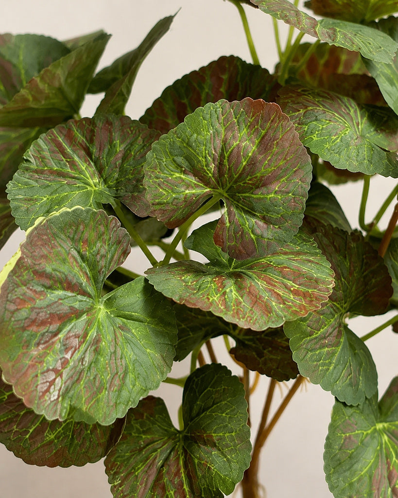 5-Head Artificial Red Green Begonia Leaf Bush - 62 cm