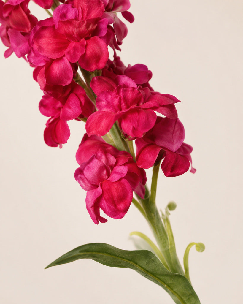 Magenta Plastic & Fabric Artificial Stock Flower Stem - 82 cm