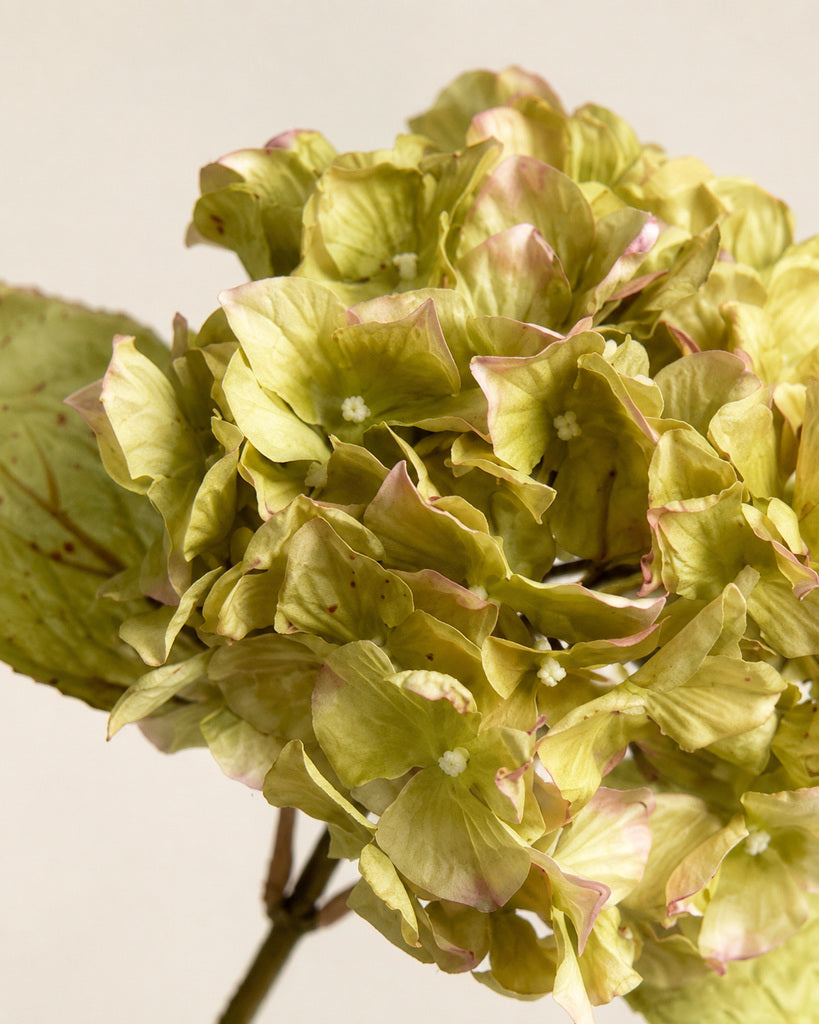 Autumn Green Artificial Hydrangea Stem - 68 cm