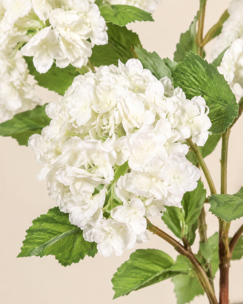 White 5-Head Soft-Touch Mini Hydrangea Stem - 85 cm