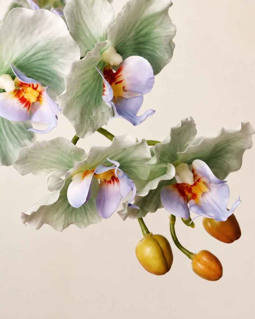Mint Green Dream 9-Head Artificial Phalaenopsis Orchid Stem