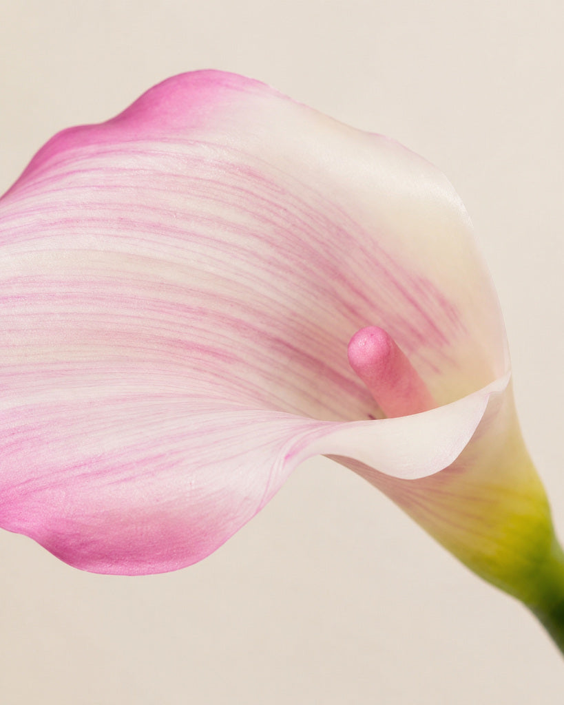 Light Purple Mini Artificial Calla Lily Stem - 55 cm