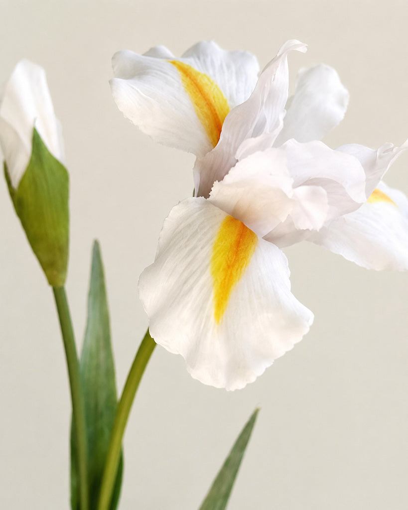 White Artificial Iris Floral Stem - 75 cm
