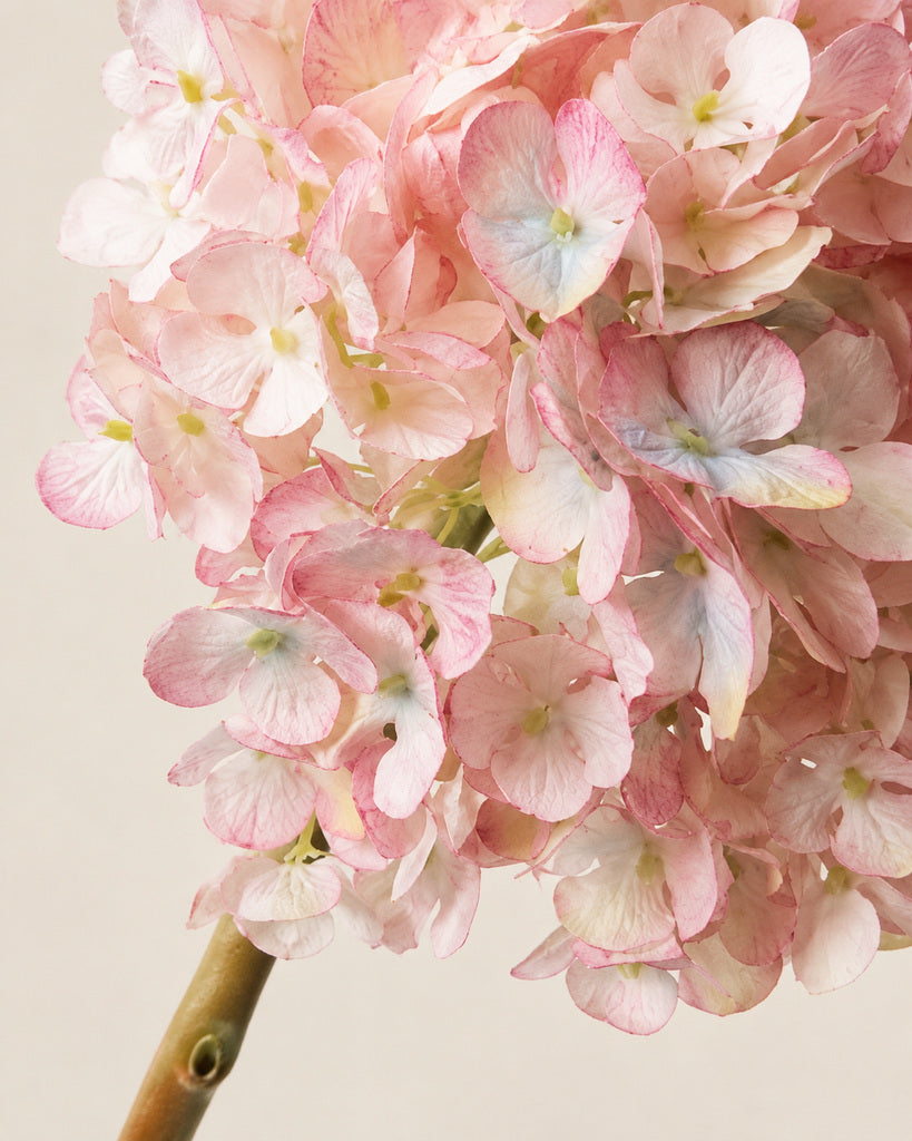 Pink Purple Dutch Hydrangea Large Stem - 64 cm