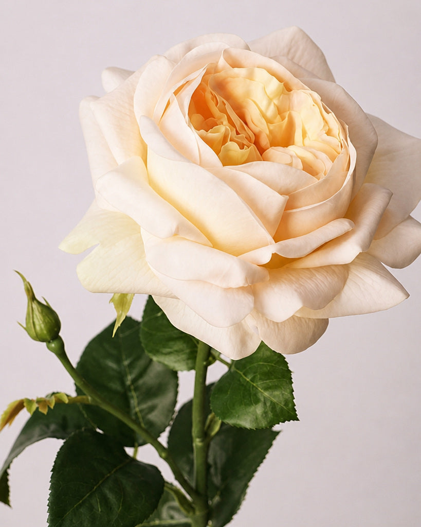 Light Yellow Fabric Artificial Juliet Rose Stem - 69 cm