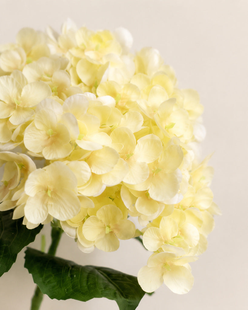 Light Yellow Soft Rubber Artificial Hydrangea Floral Stem - 50 cm