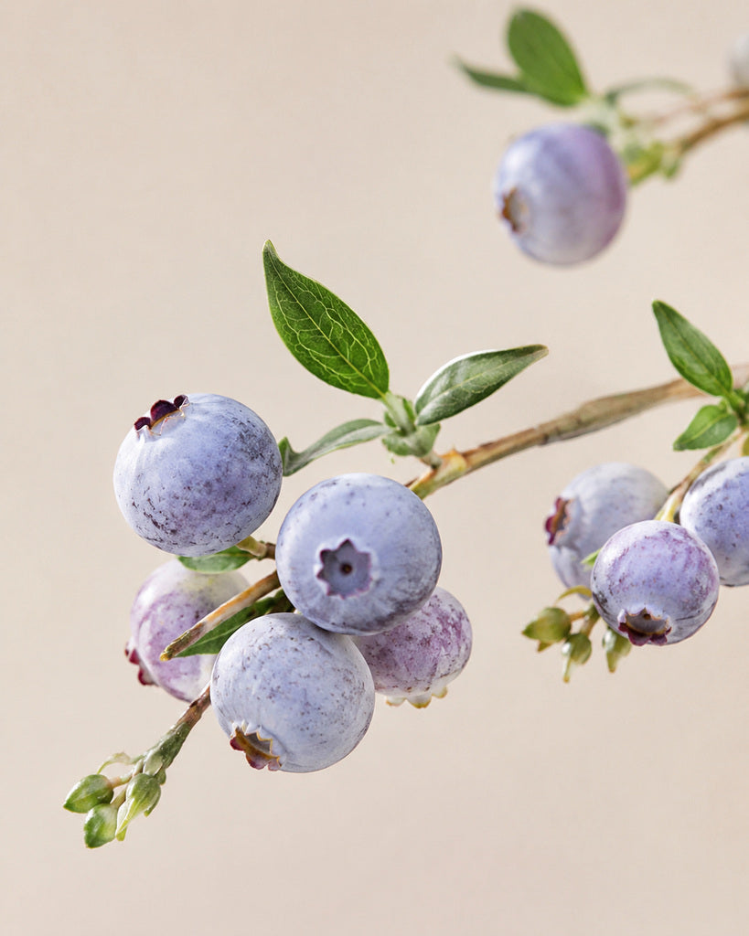 Blue Plastic Artificial Blueberry Branch - 71 cm