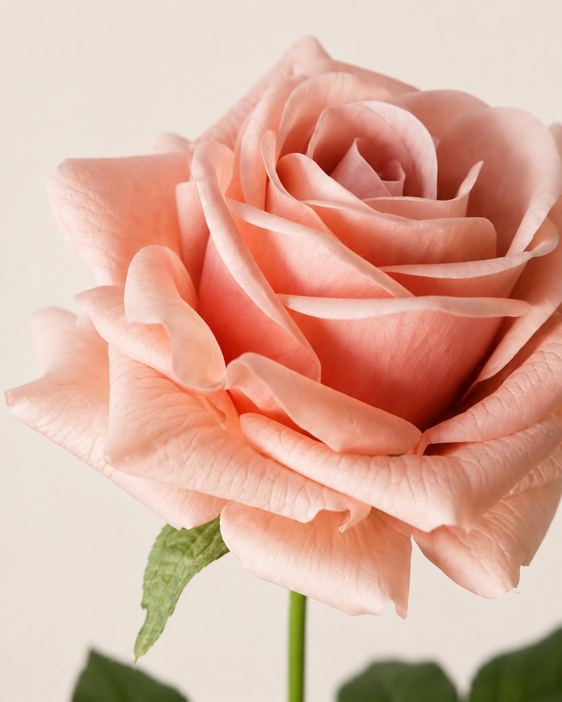 Sakura Pink Fabric Artificial Rose Stem - 66 cm