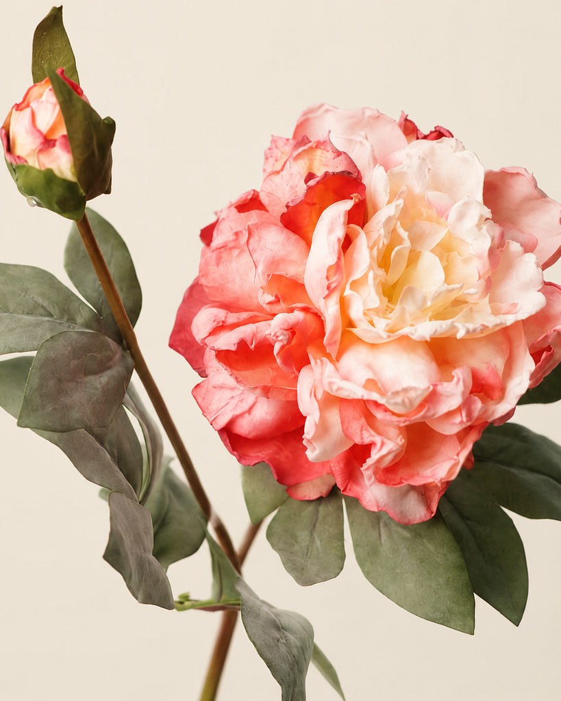 Vintage Peach Pink 2-Head Artificial Peony Stem - 64 cm