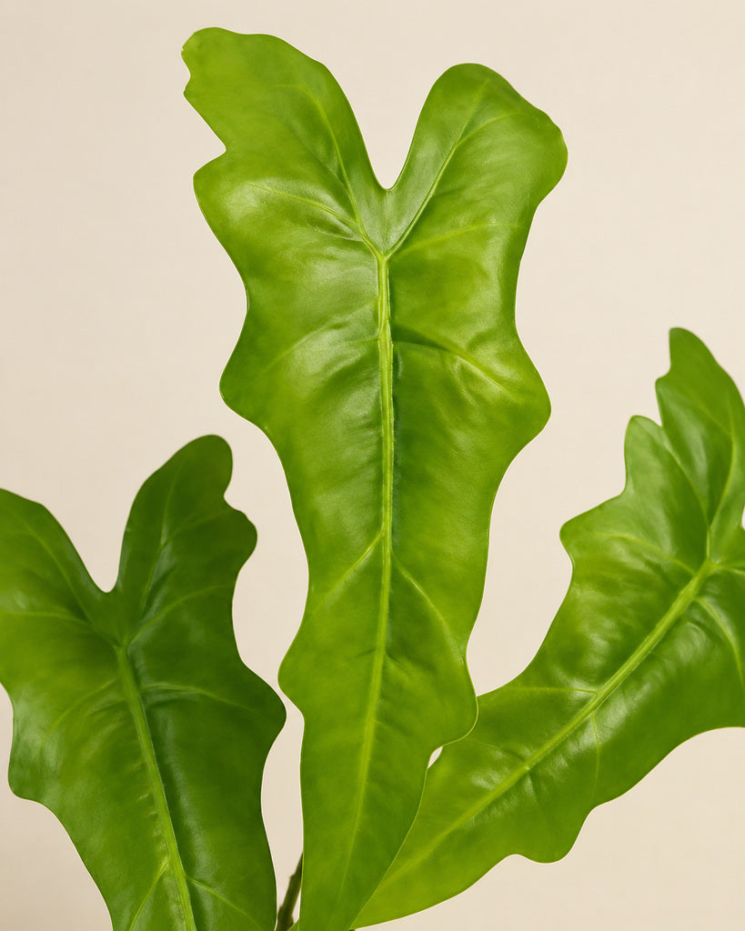 Green Artificial Fishbone Leaf Asparagus Greenery Stem - 69 cm