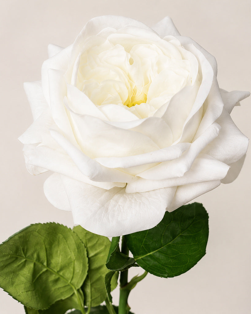 White Fabric Artificial Juliet Rose Stem - 69 cm