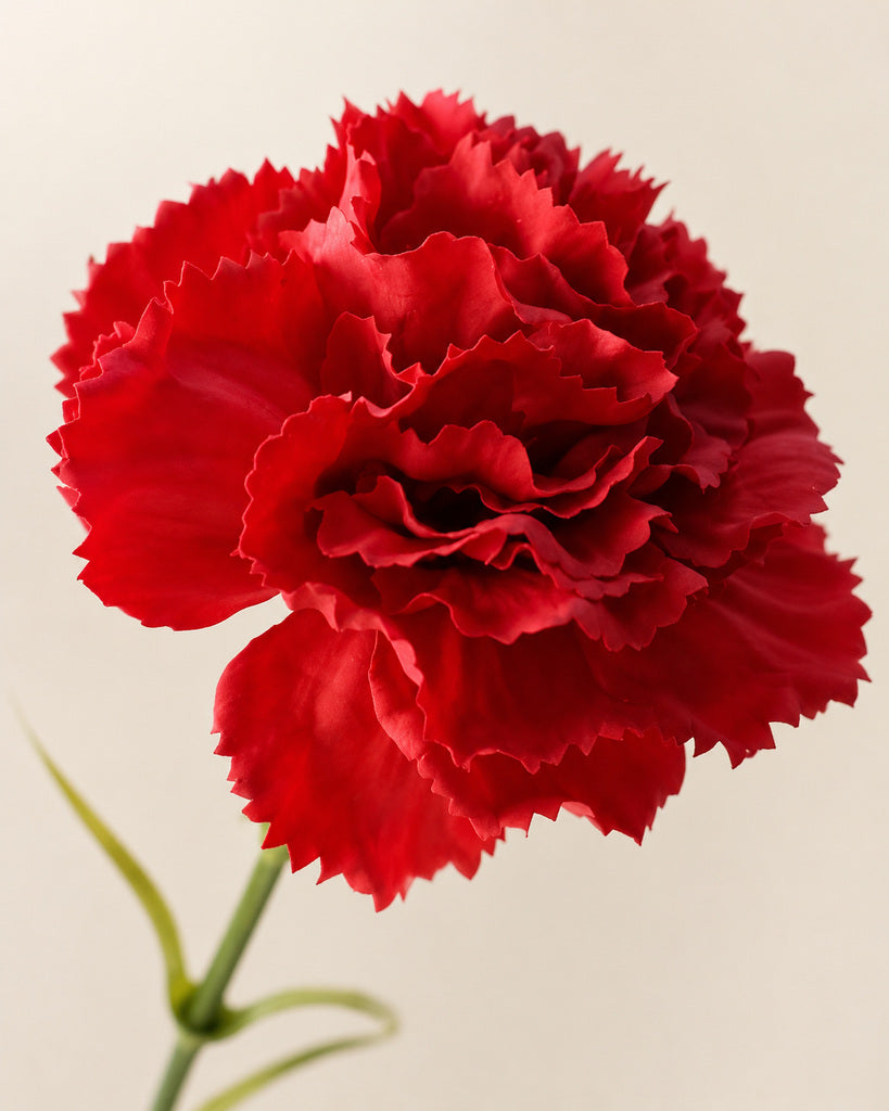 Red Real Touch Fabric Artificial Carnation Stem - 50 cm