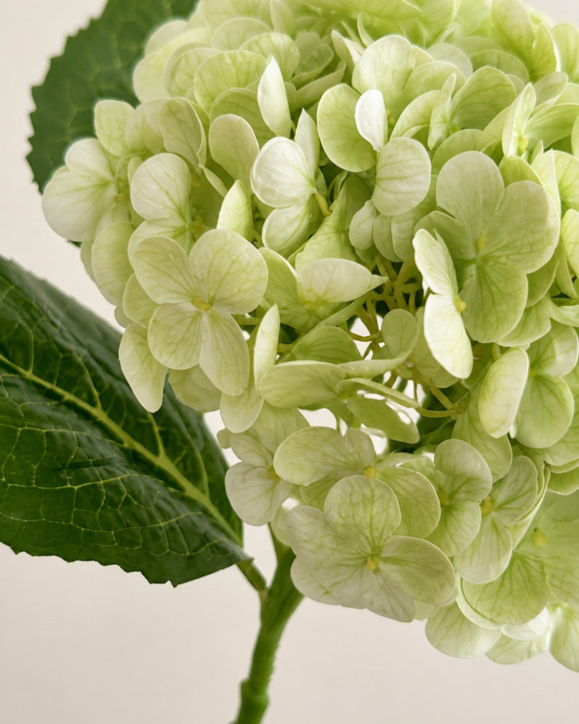 Light Green Fabric Artificial Hydrangea Stem - 51 cm