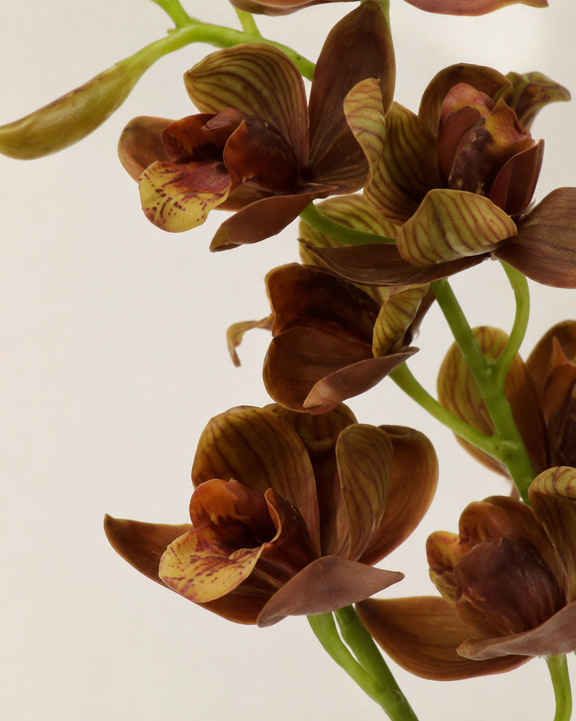 Coffee Brown Soft Rubber Artificial Cymbidium Orchid Spray - 70 cm