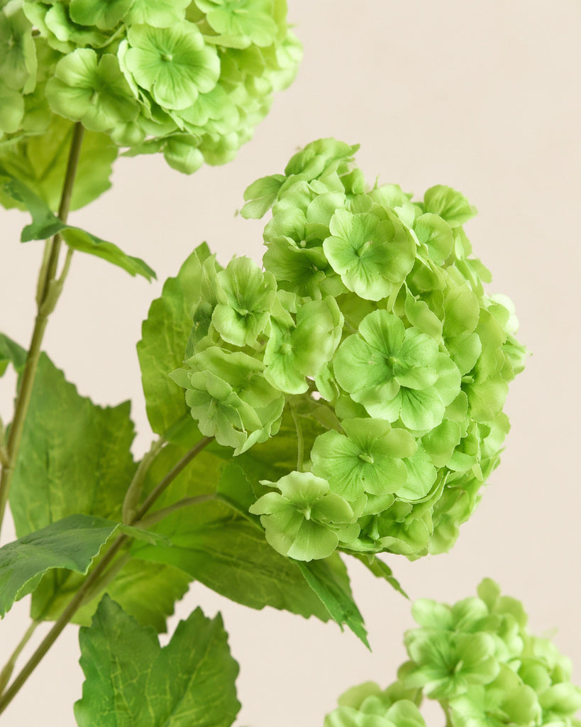 Green 5-Head Soft-Touch Mini Hydrangea Stem - 85 cm