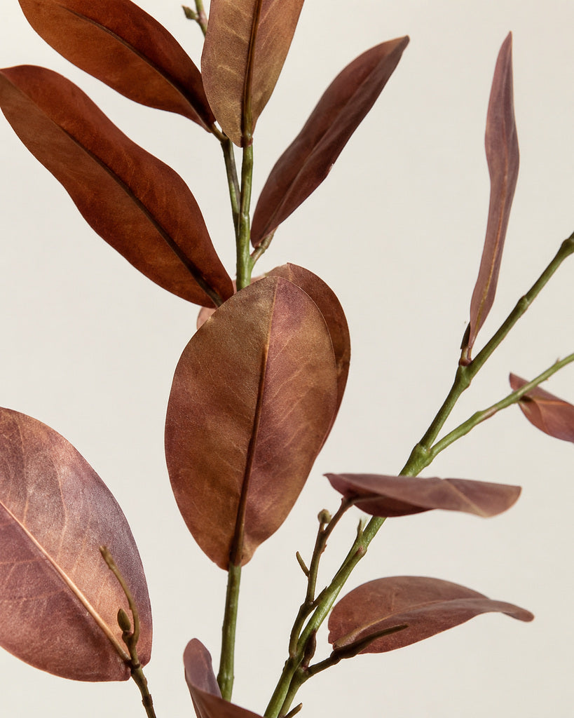 Brown Artificial Crape Myrtle Leaf Branch - 116 cm