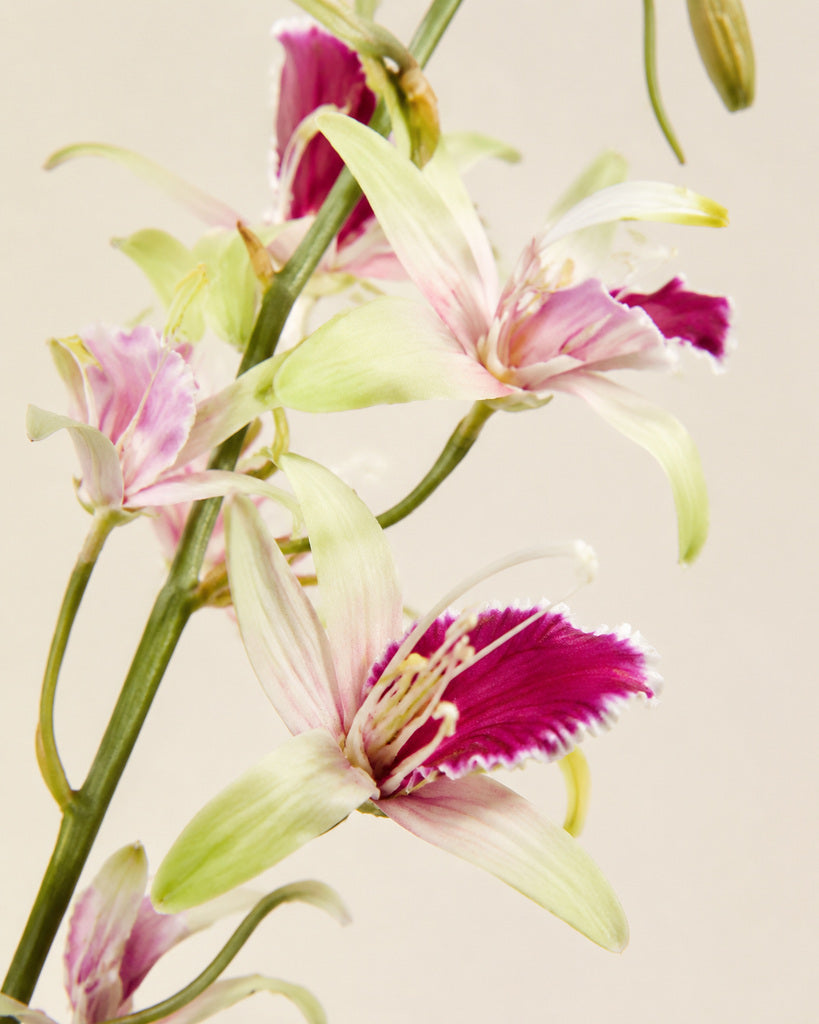 Purple Fabric Artificial Australian Dendrobium Orchid Stem - 80 cm