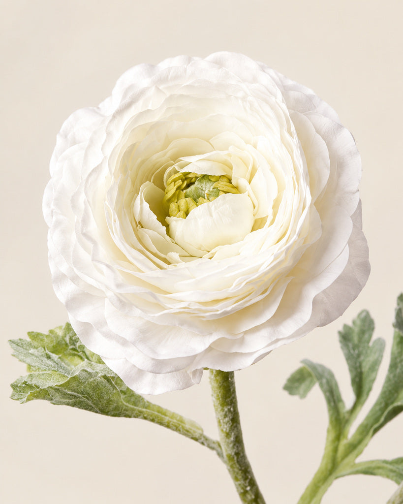 White Artificial Ranunculus Stem - 62cm