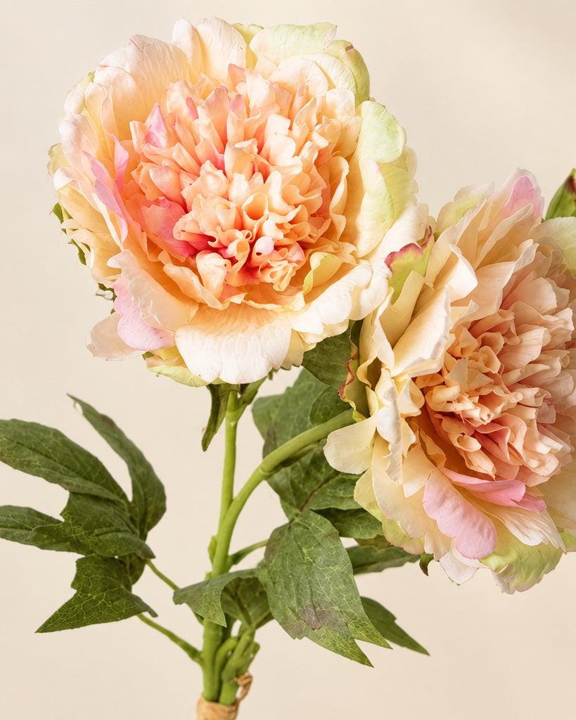 Peach Pink 3-Stem Artificial Peony Bouquet - 60 cm
