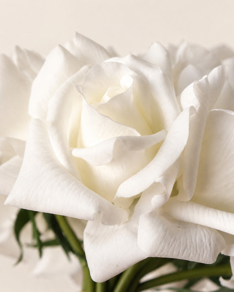 Cream Artificial Rose Bouquet - 22 cm