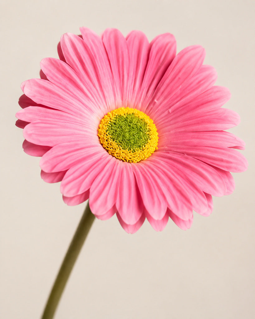 Pink PU Artificial Gerbera Daisy Floral Stem - 34 cm